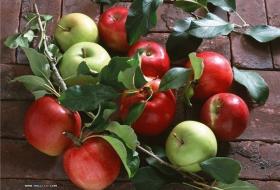 Яблоко – один из наиболее распространенных и популярных видов фруктов