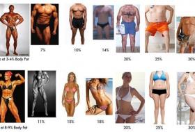 Процент жира в организме у мужчин и женщин.